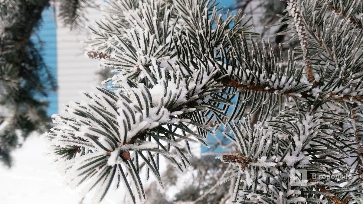 Теплую и снежную зиму прогнозируют в Нижегородской области
