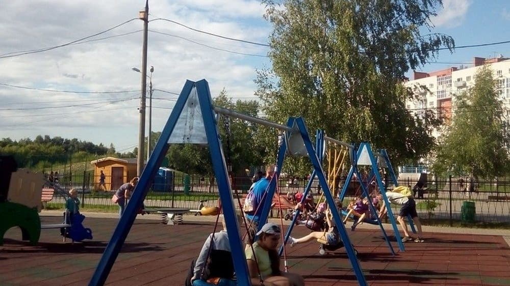 Полиция заинтересовалась нижегородкой с собаками на детской площадке