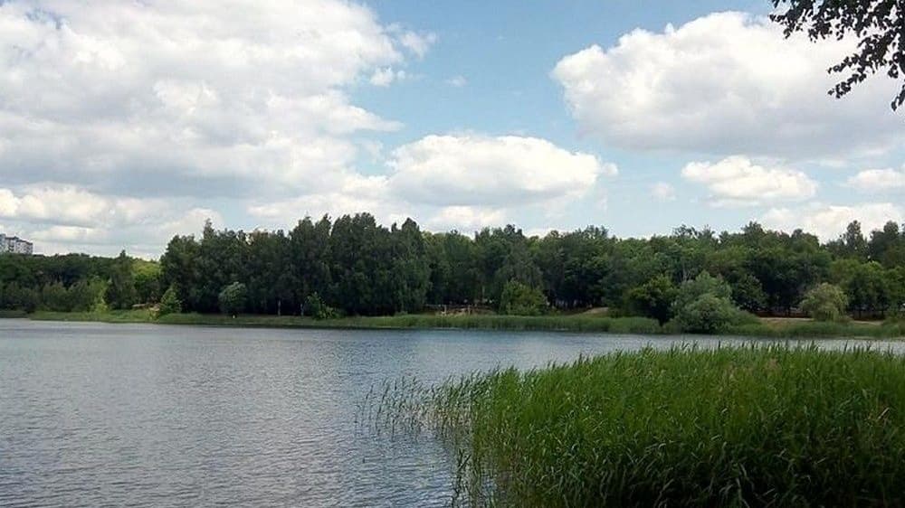Сильные осадки прогнозируют летом в Нижнем Новгороде