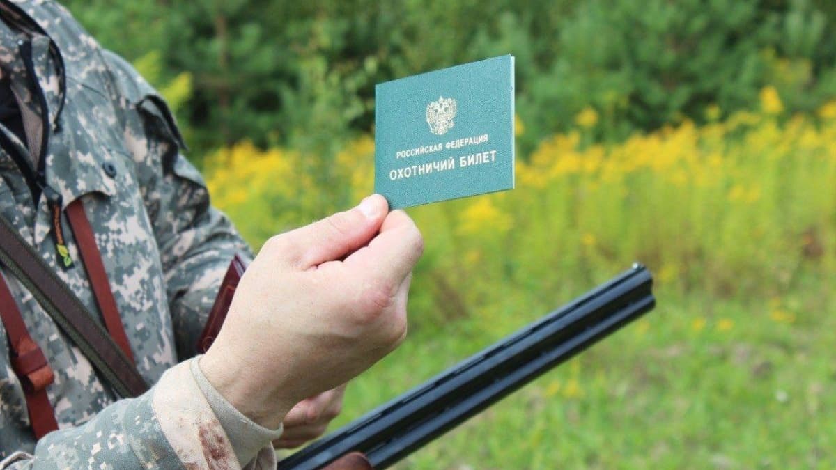 155 нижегородских охотников получили разрешения на добычу копытных и медведя