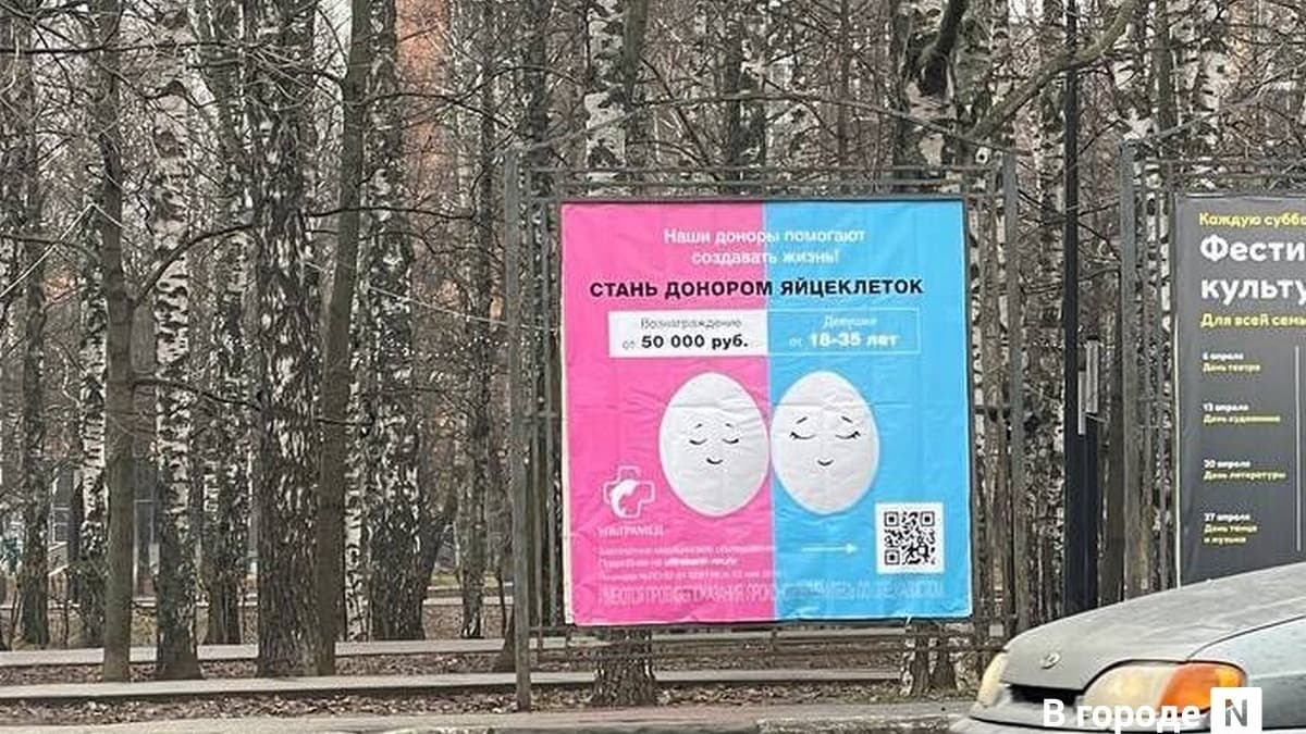 Реклама о донорстве яйцеклеток в Нижнем Новгороде привлекла внимание УФАС