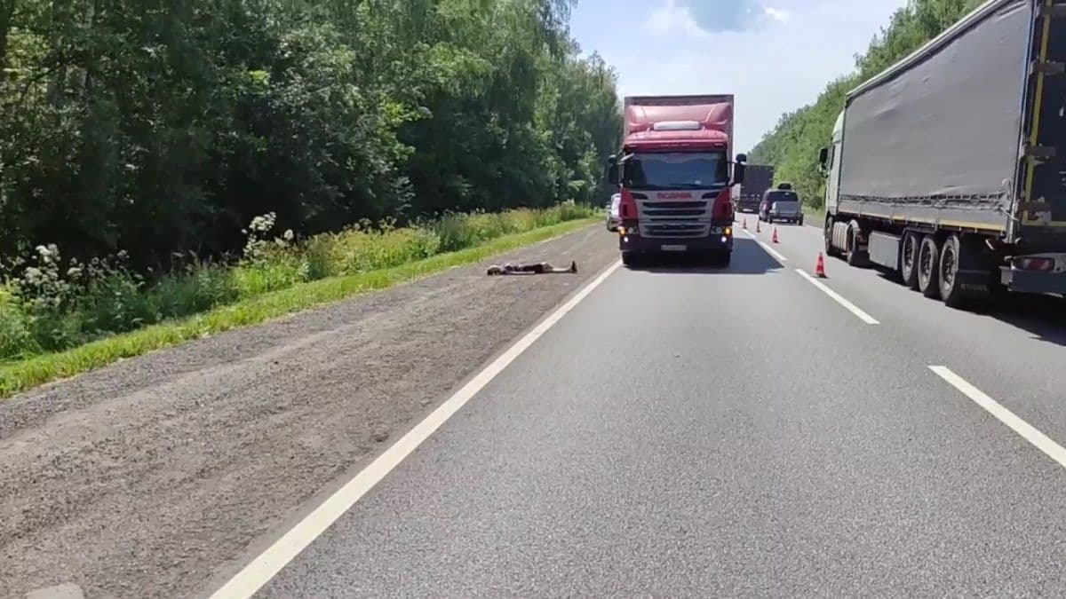 Фура насмерть сбила пешехода на трассе в Нижегородской области