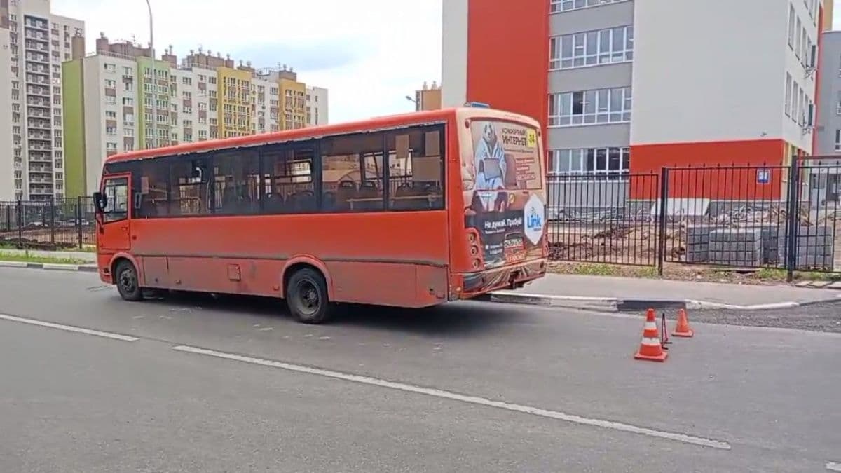 Бастрыкин заинтересовался конфликтом в нижегородском автобусе