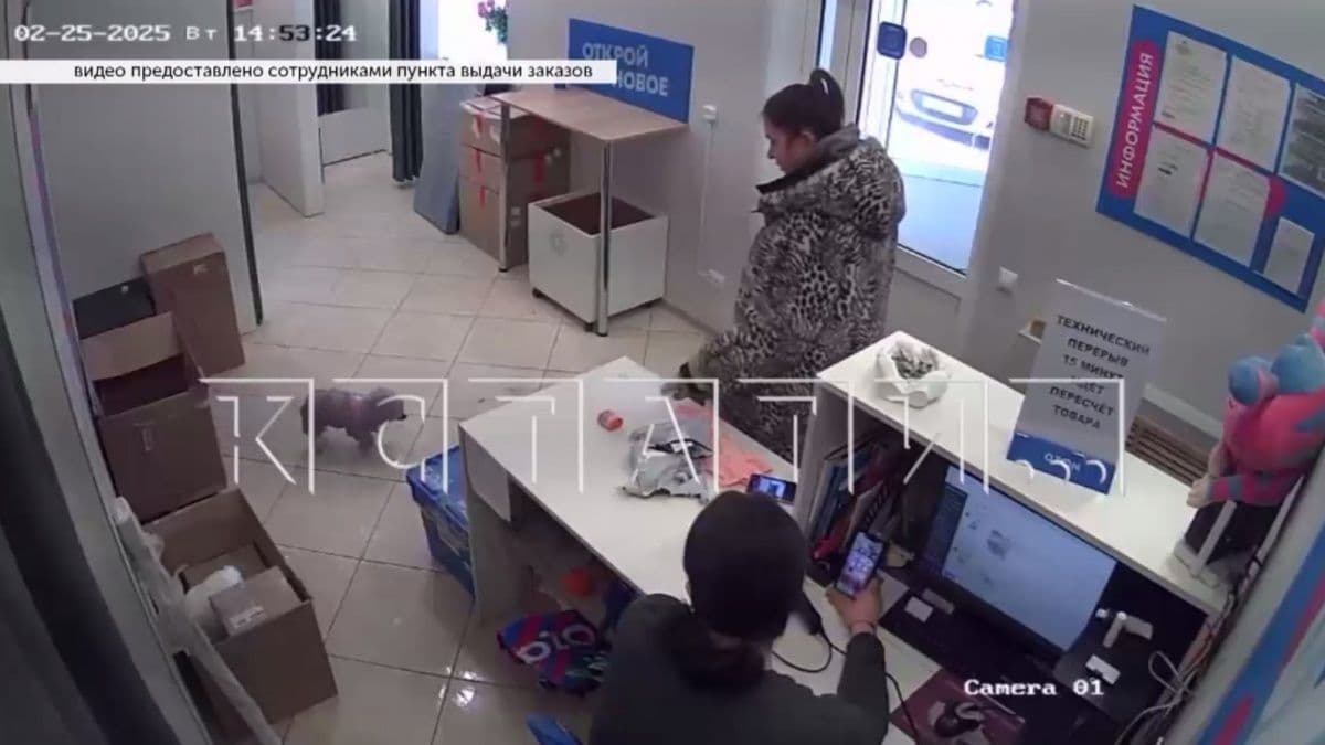 Женщина избила свою собаку в пункте выдачи заказов в Кстове