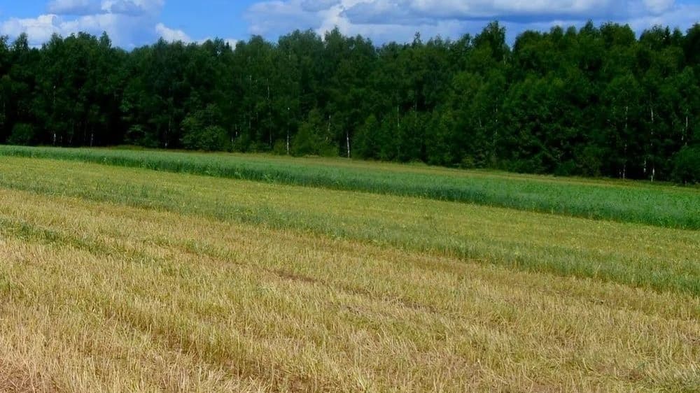 Нижегородца убило картофелесажалкой в поле