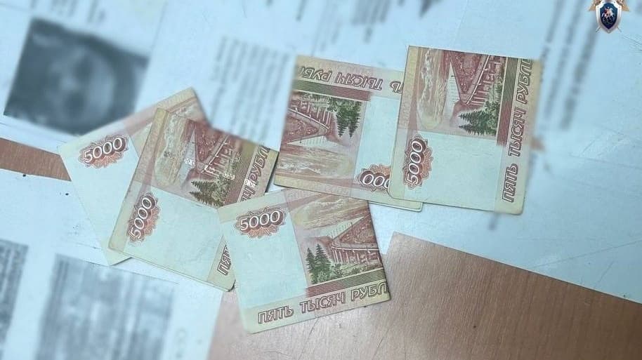 Иностранца будут судить за дачу взятки полицейскому в нижегородском метро