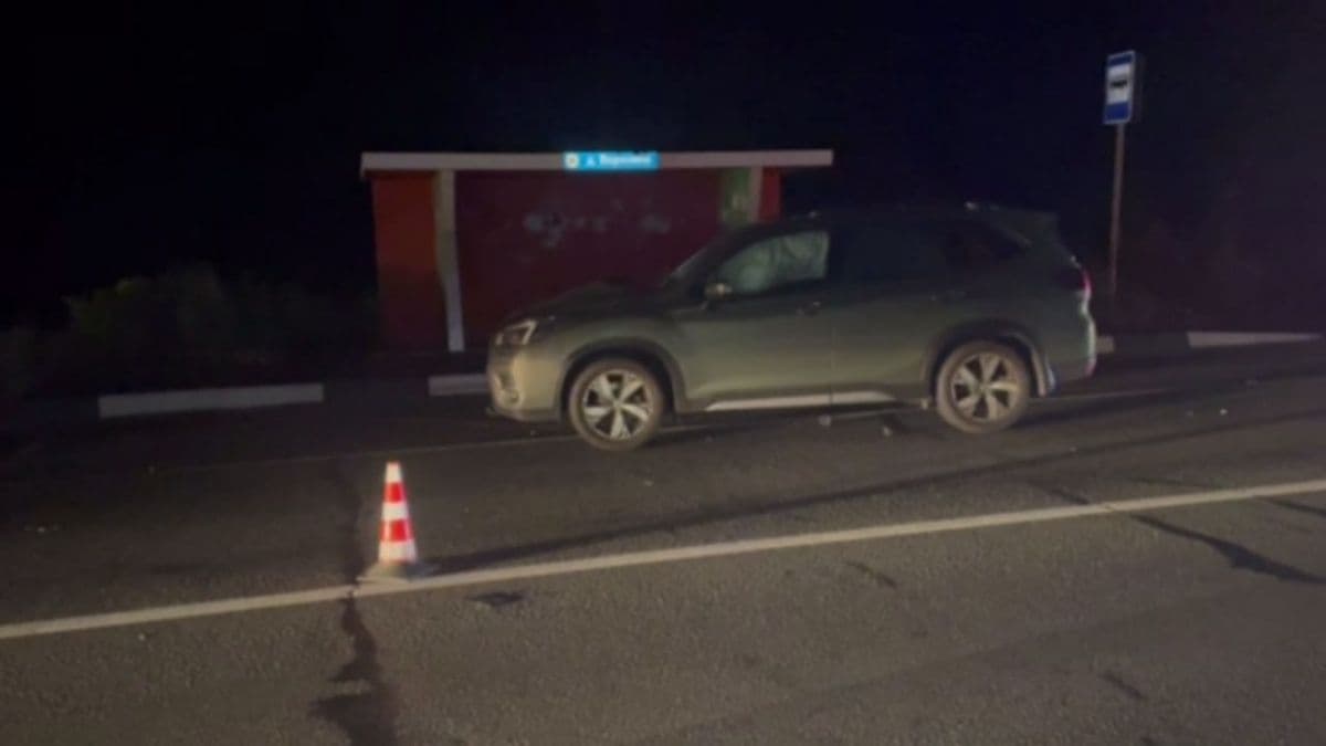 70-летняя женщина погибла под колесами иномарки в Городецком округе