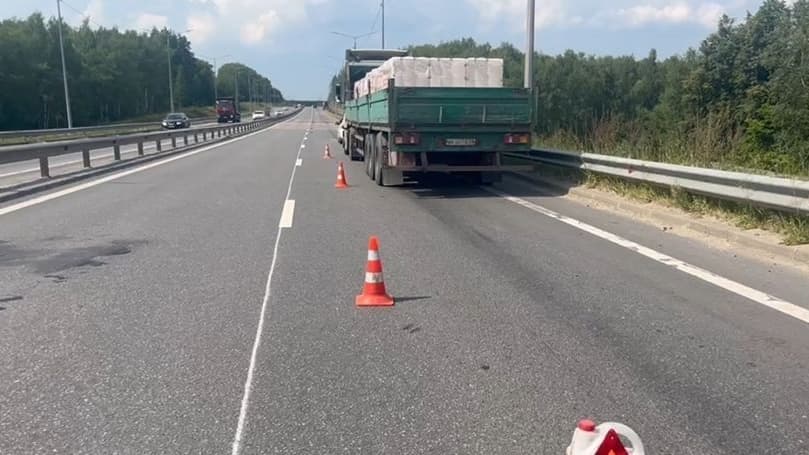 Женщина пострадала в ДТП с грузовиком в Нижегородской области