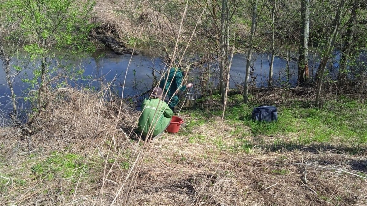 Спиртзавод сбрасывает отходы в речку в Воротынском округе