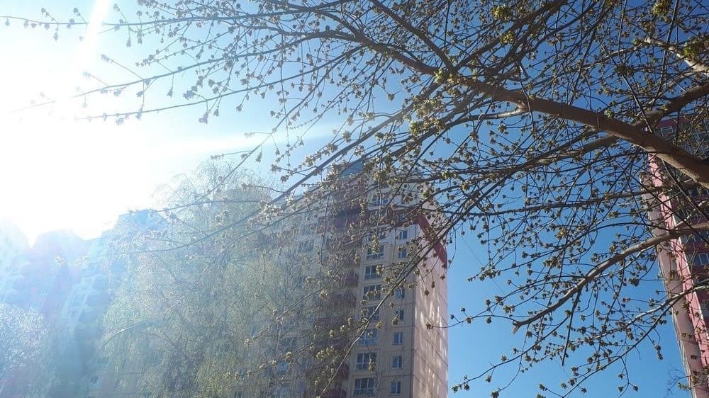 До +20°C обещают нижегородцам в последнюю неделю апреля