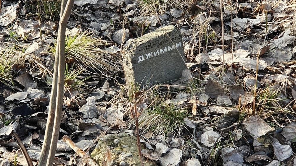 Нижегородский священник объяснил, почему нельзя поминать домашних животных