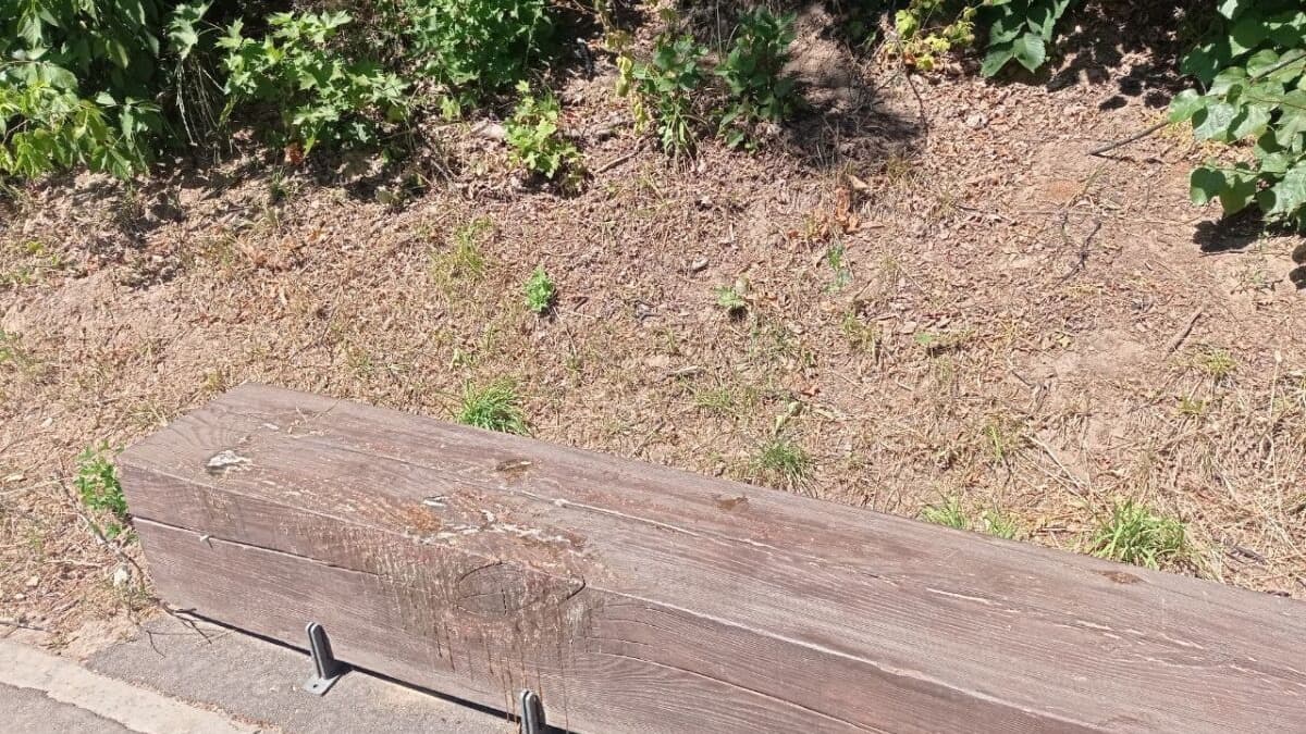 Нижегородцам посоветовали не сидеть на скамейках на Щелоковском хуторе в жару