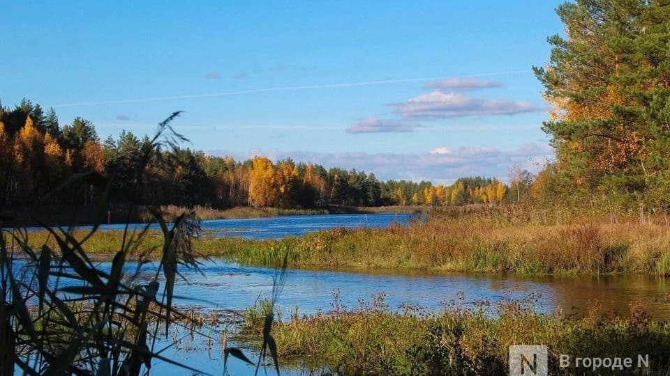 Завод «Корунд-Циан» в Дзержинске обвинили в загрязнении экологии