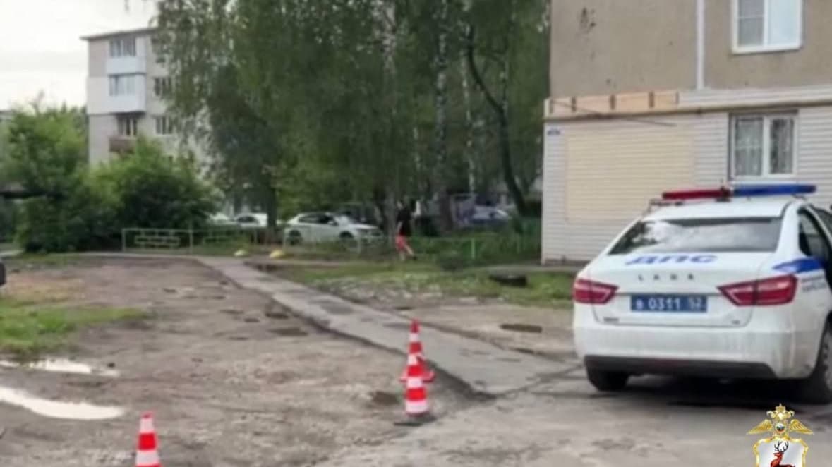 Полиция разыскала водителя, сбившего пенсионерку в Богородске