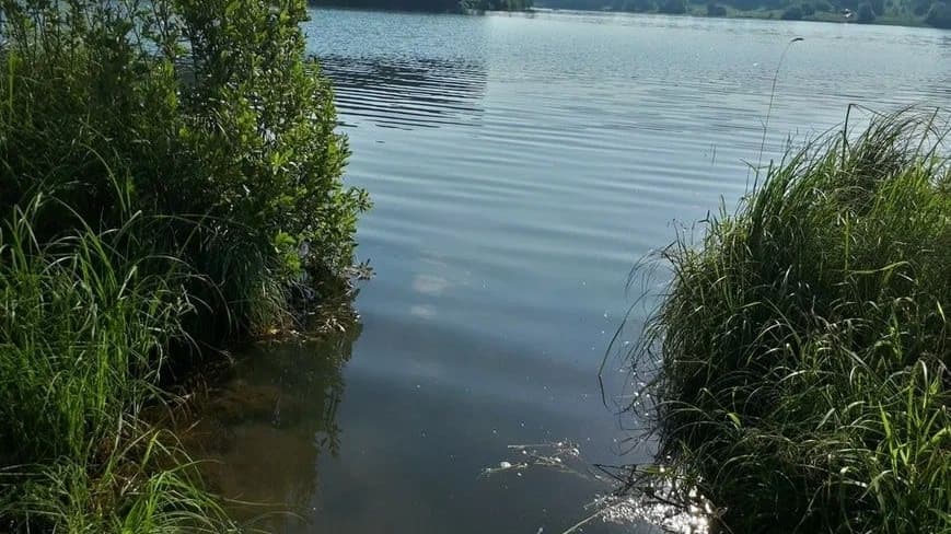 Активисты бьют тревогу из-за загрязнения реки в Нижегородской области