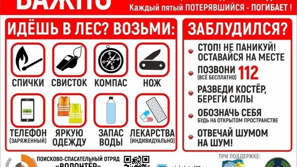 Нижегородцы рискуют умереть от инфаркта при сборе грибов