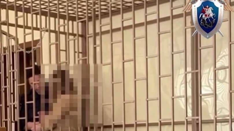 Нижегородка зверски убила ревнивого мужа в квартире на улице Тропинина