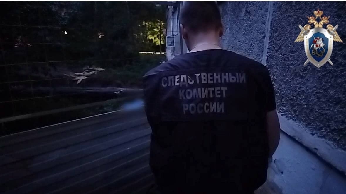 Уголовное дело завели после гибели 5-летней девочки в Нижнем Новгороде