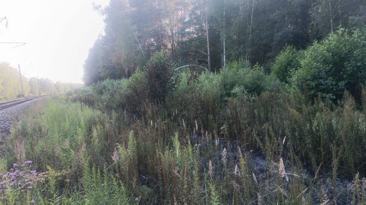Движение поездов восстановлено в Нижегородской области после пожара