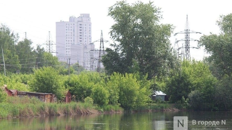 Парк может появиться на берегах Левинки в Нижнем Новгороде