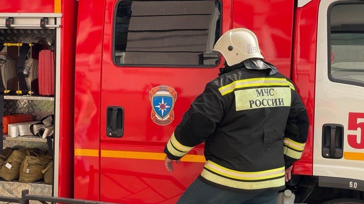 Власти предупредили нижегородцев о высоком риске лесных пожаров