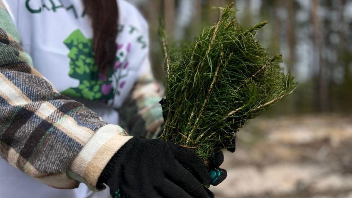 Свыше 450 000 деревьев высади в Нижегородской области в рамках акции «Сад памяти»