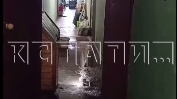 Девятиэтажку в Нижнем Новгороде затапливает из-за протекающей трубы
