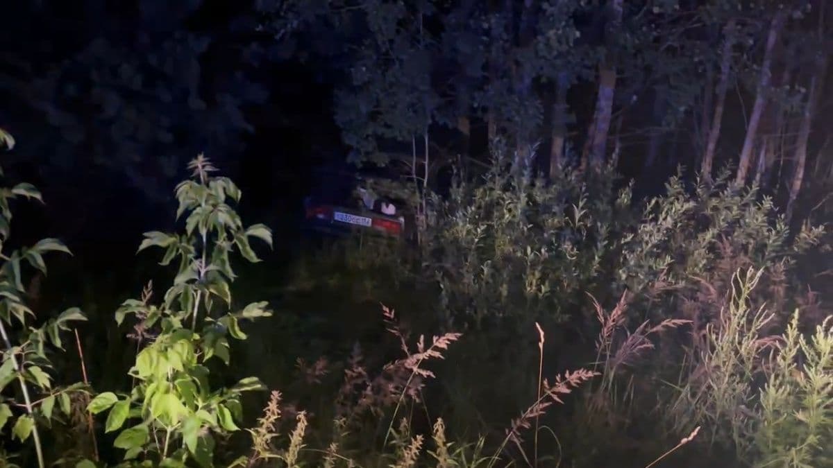 Два человека пострадали в ДТП с лосем в Шатковском округе