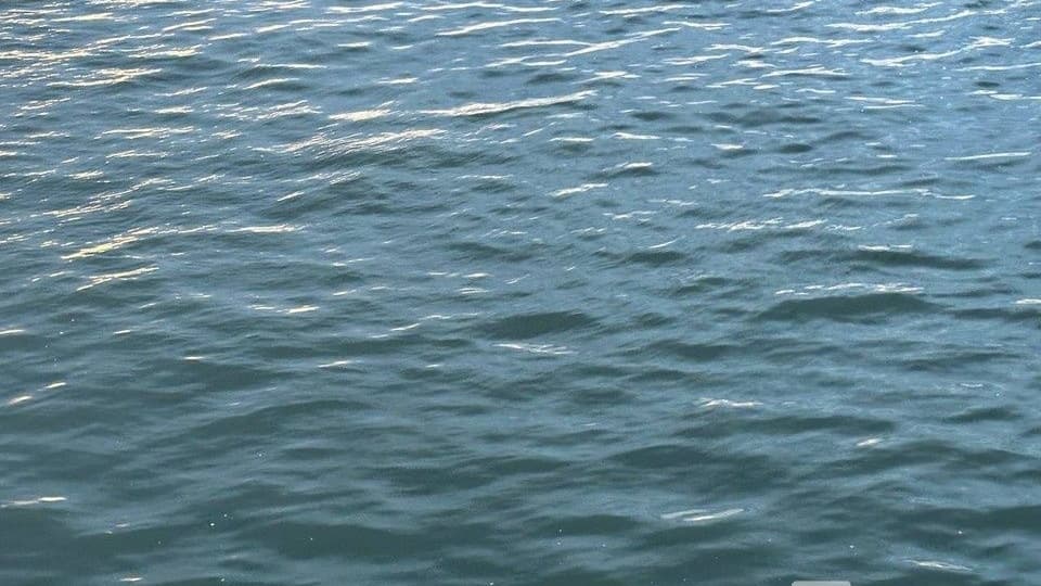 Нижегородское предприятие загрязнило Волгу на 1 000 000 рублей
