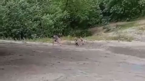 Детей забрали у нижегородки после видео с издевательствами под мостом