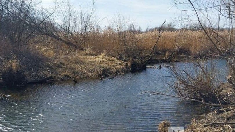 Участок под Рахмой в Кстовском районе изъяли в собственность государства