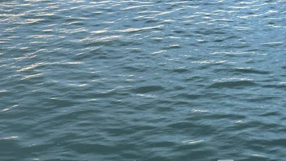 Нижегородцы просят губернатора разобраться с загрязнением Борзовки