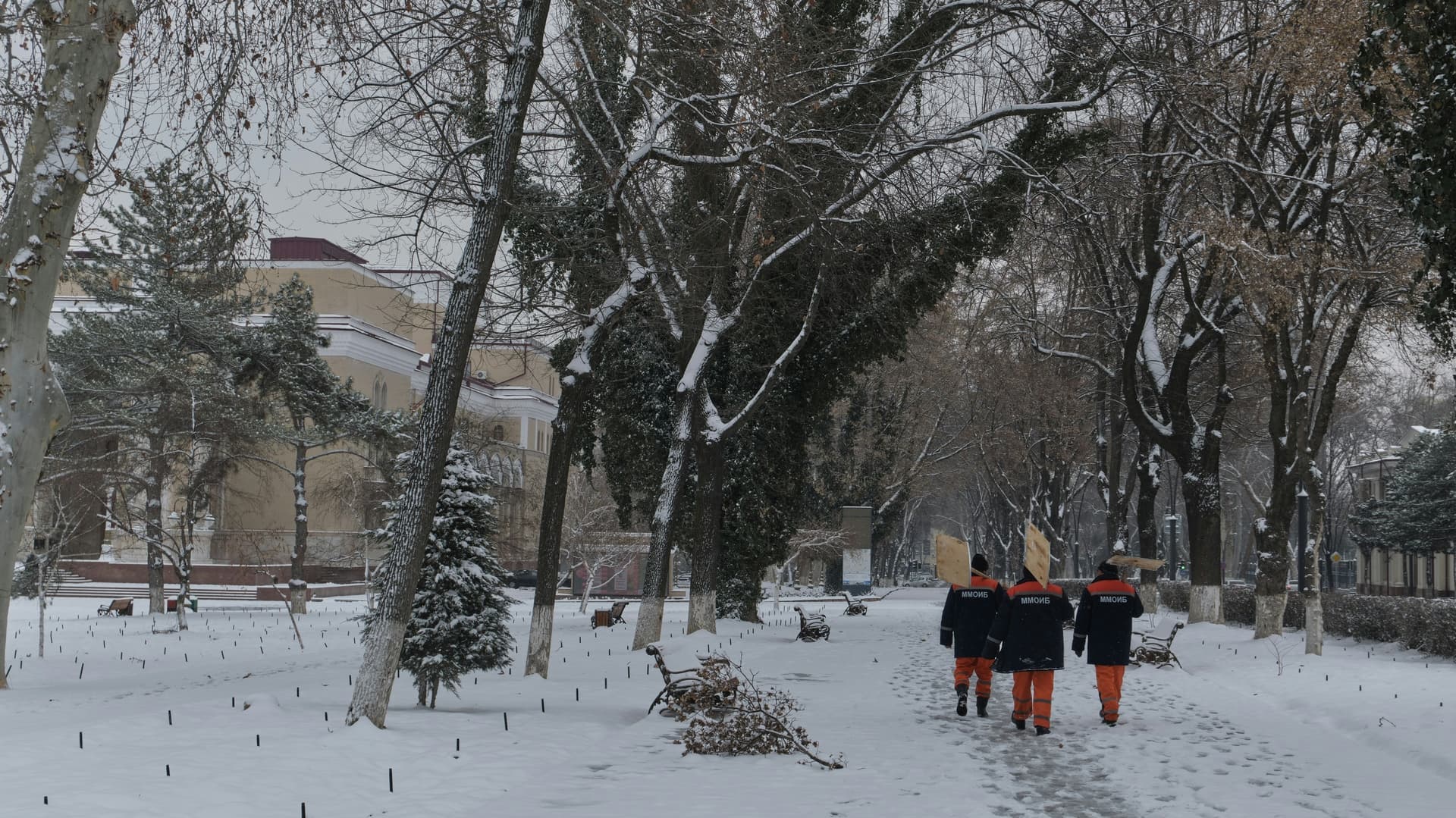 «Зимой начнется нечто особенное, чего не было с 1772 года». Синоптики сказали, к чему готовиться