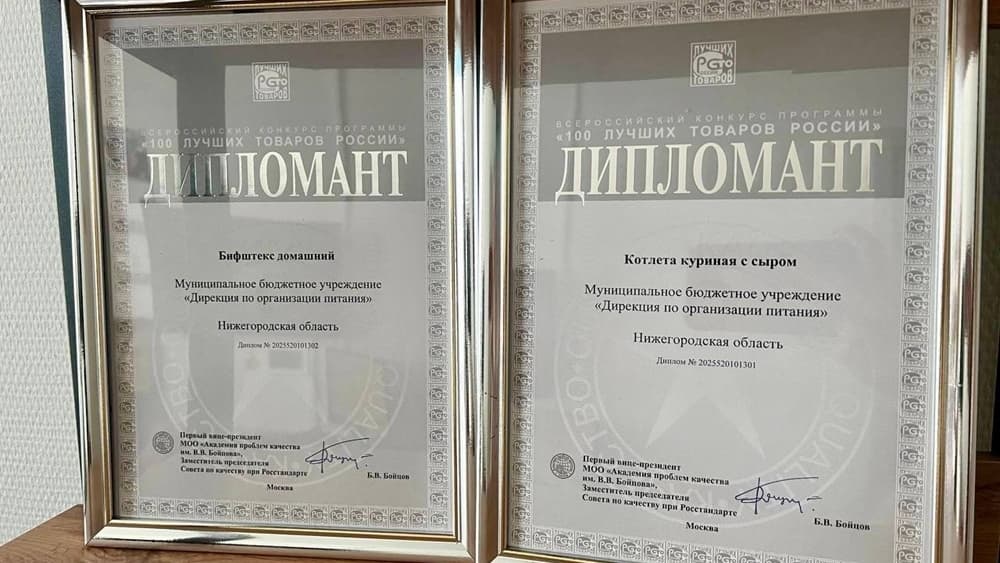 Нижегородские котлеты из школьного меню признаны одними из лучших в России