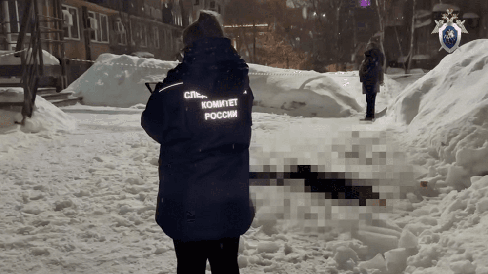 Трагическое дело о падении наледи на нижегородку взял на контроль глава СКР