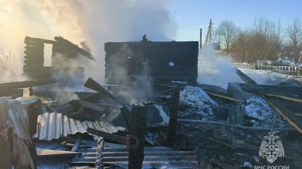 В Первомайском округе на пожаре в частном доме сгорел пенсионер