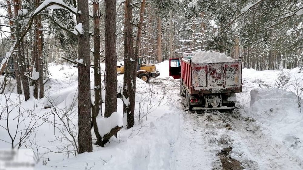 Нижегородская полиция задержала сваливавших снег в лесу водителей