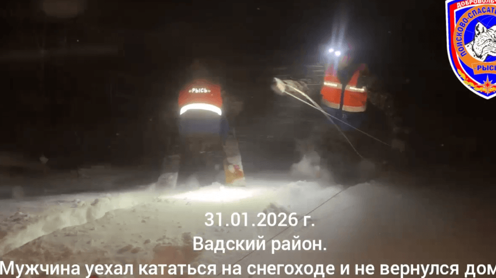 В Нижегородской области в метель нашли погибшего снегоходчика в Вадском районе