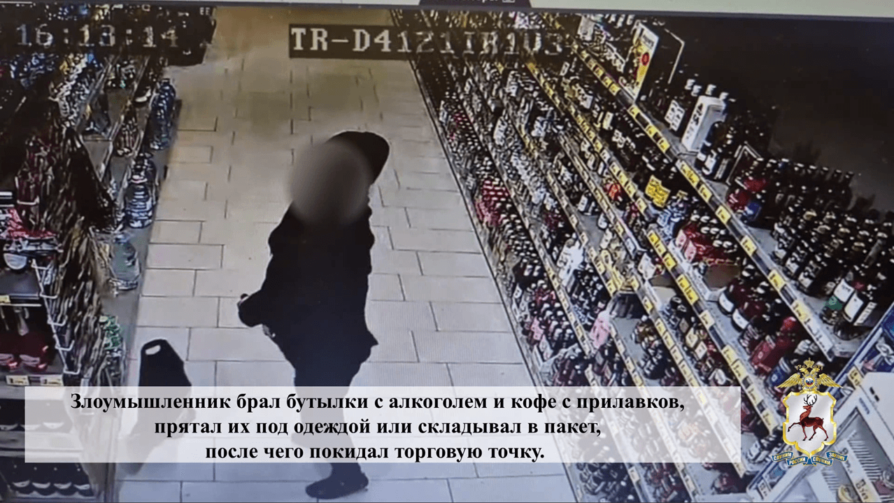 Полиция задержала серийного магазинного вора в Нижнем Новгороде