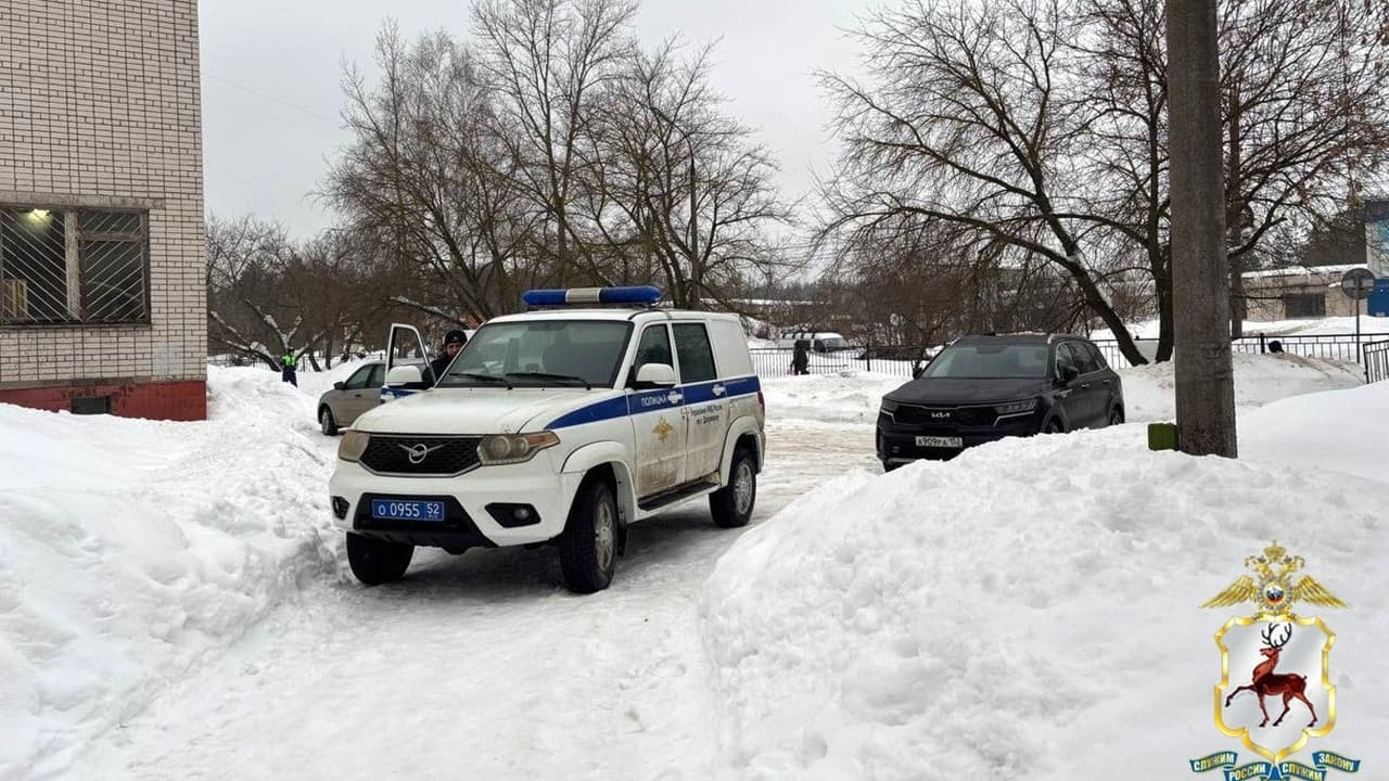 В Дзержинске пассажиров остановленной машины арестовали за угрозу полиции