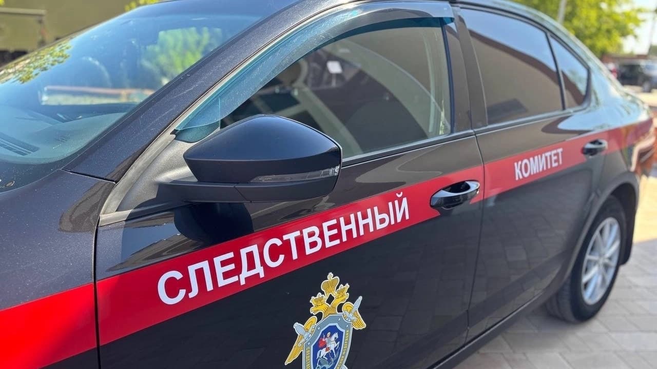 В Нижегородской области мужчина попытался заколоть племянника ножом