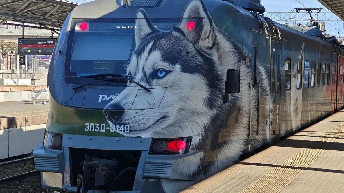 "Собаки" или электрички: почему электропоезда в СССР называли по-разному