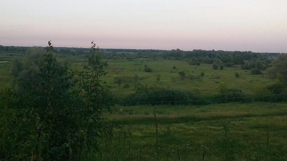 Национальный парк могут создать в Артемовских лугах под Нижним Новгородом