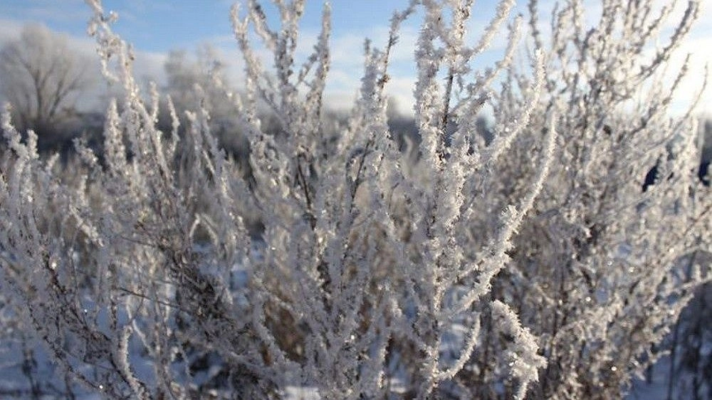 Метеоролог Тишковец прогнозирует теплую зиму в Нижегородской области