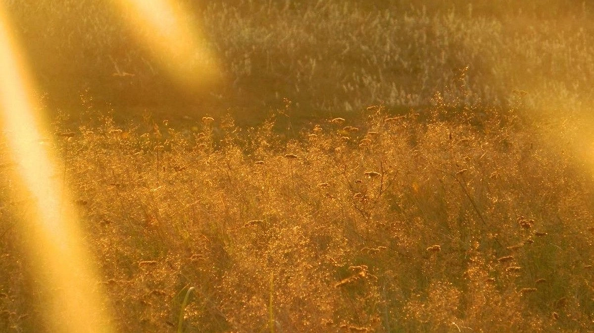 Адская жара до +34°С надвигается на Нижегородскую область