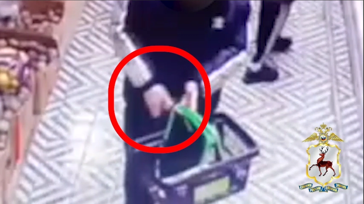 Главная картинка новости: В Борском районе рецидивист попал на видео во время кражи продуктов