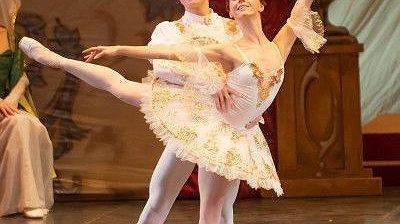 Главная картинка новости: Спящая красавица