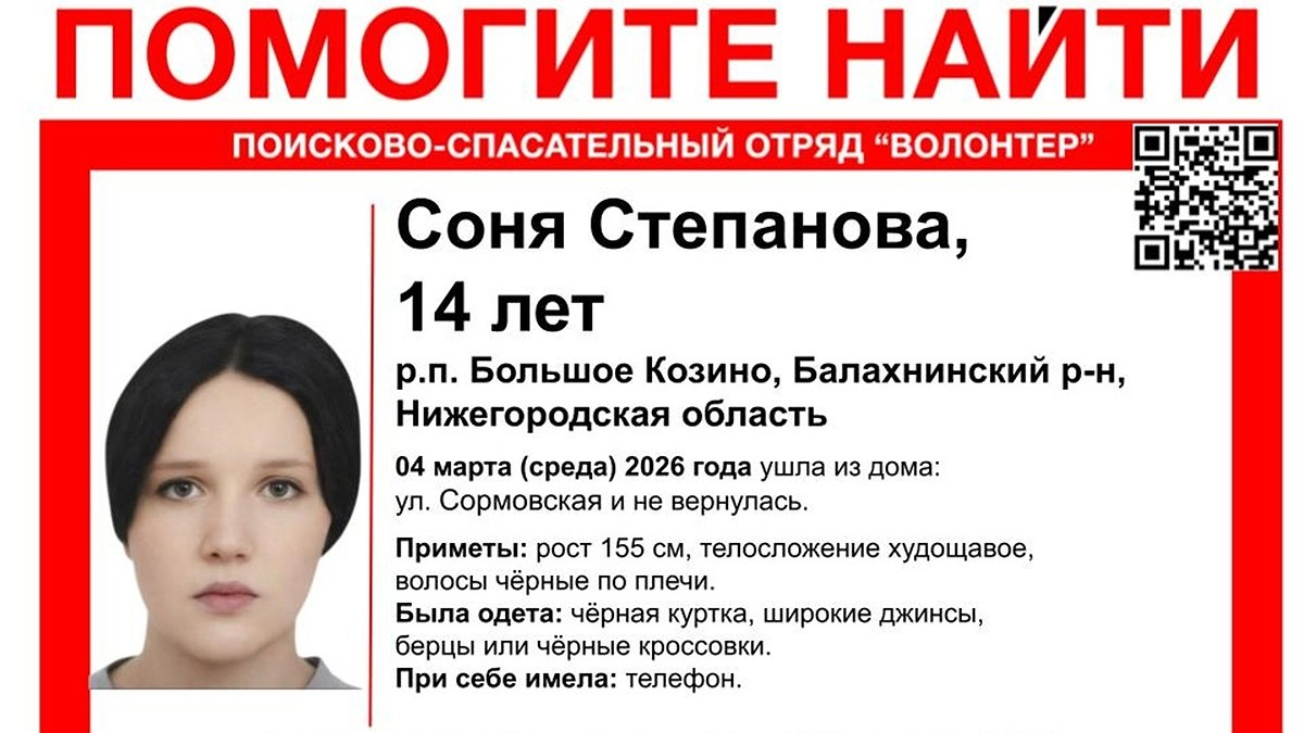 Главная картинка новости: В Большом Козине объявили поиски 14-летней девочки