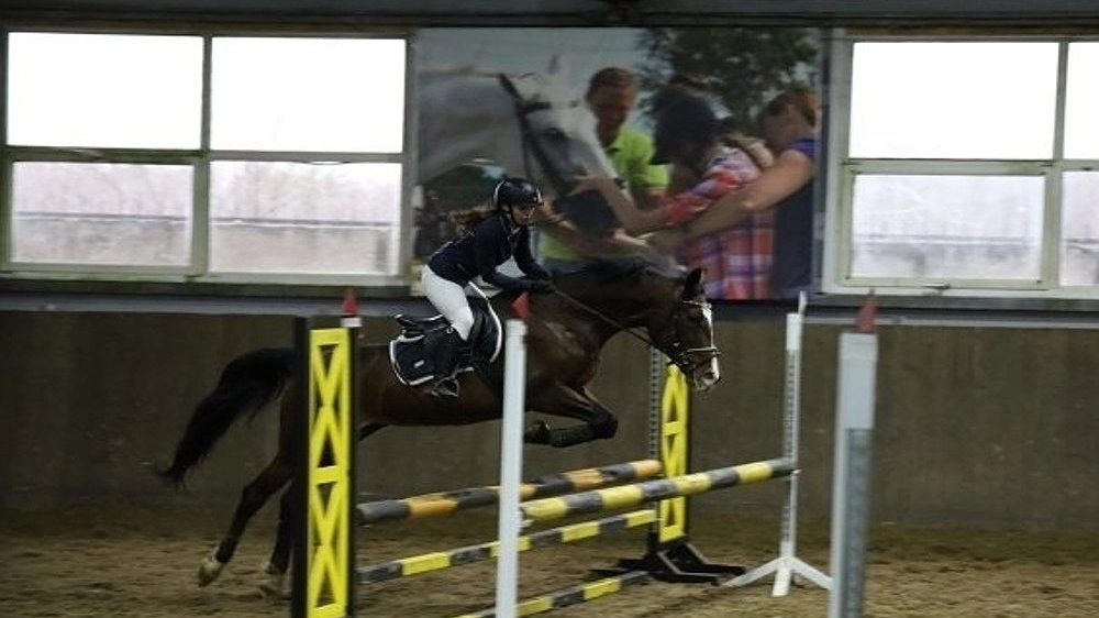 В Нижнем Новгороде прошёл Кубок «Надежда-2025» по конкуру