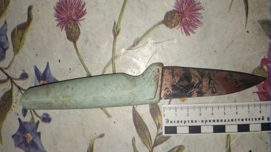 Нижегородский рецидивист из-за ревности убил знакомого ножом в сердце